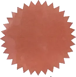 Seal of the Sri Lanka Medical Council, which registers Dr Dineli as a medical practitioner